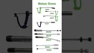 Bolus Guns for Animals: Ensuring Health with Precision | Veterinary Tools Explained 