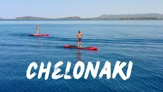 Chelonaki
