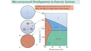Microstructural Developments in Eutectic Systems  4