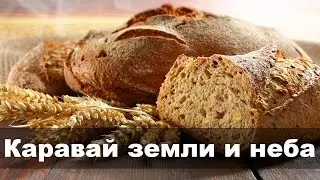 Каравай земли и неба | Песня | Гимназия им. митр. Платона (Левшина) | 2012 год