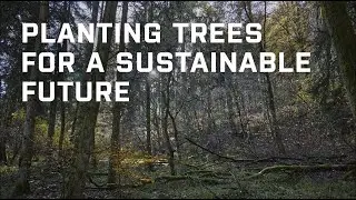 Planting trees for a sustainable future