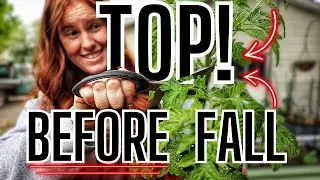 Garden Tips for Increased Yields BEFORE The Season Ends!