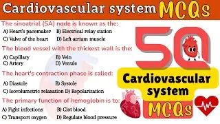 The #1 Cardiovascular SECRET That's NOT Told to Beginners
