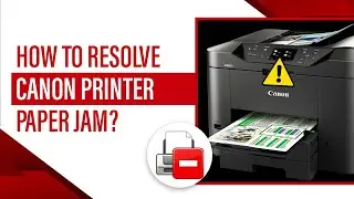 How to Resolve Canon Printer Paper Jam? [3 Quick Solutions] 