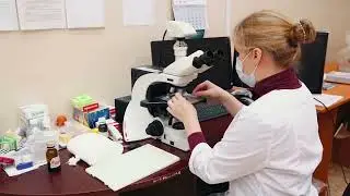 Гистологическое исследование
