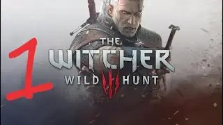 The Wicher 3 #1 |  Много роликов и немного похождений