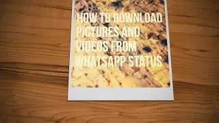 How to save and download images, videos from whatsapp status