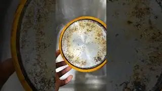 Leaning with scrubdaddy #asmr
