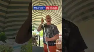 Learn Spanish - #shorts - UMBRELLA in Spanish - #Youtubeshorts - Spanish Lessons