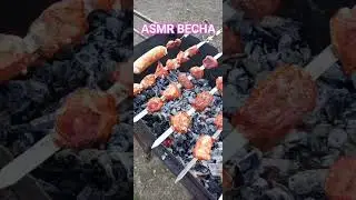 ASMR ВЕСНА