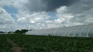 НЕБО (просто красивое видео)