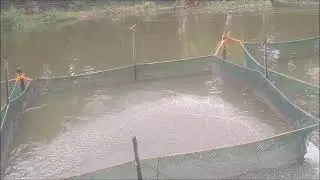 Trying To Keep Ahead Of The Storm