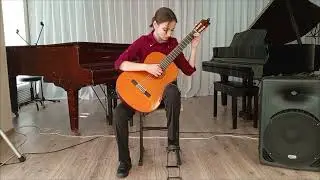 Д.А.Бресчианелло 