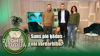 Suns pie ķēdes - vai vardarbība? | Zilonis Studijā S02E08