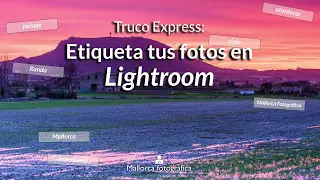 Etiqueta tus fotos en Lightroom para encontrarlas en un pis-pas