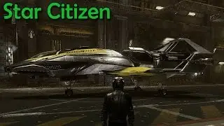 Star Citizen - My 315P in Self Land Hangar
