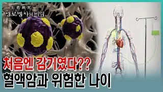 혈액암 환자에서 50대 이상이 76%나 될 정도로 위험한 건 나이. 조혈모세포 기증과 이식, 제대혈 이식 과정과 궁금증을 자세히 풀어본다 (KBS 20230510 방송)