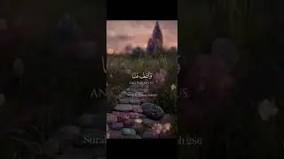Surah Al Baqrah , verse : 286