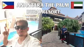 Lagoon Night Swimming at Anantara The Palm Dubai Resort