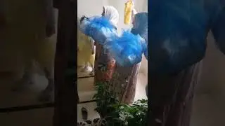 Gelin Bohçası
