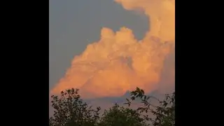 Campfire Liver || Snippet Video