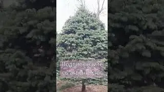 18 февраля 2024 г.