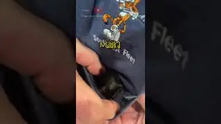 Неожиданное Чудо в Кармане ❤️