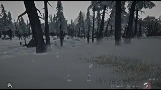 THE LONG DARK: Can you hit the flying ptarmigan