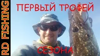 ПЕРВЫЙ ТРОФЕЙ СЕЗОНА 2018.РЫБАЛКА НА ДНЕПРЕ.окунь как с пулемета и трофейная щука.