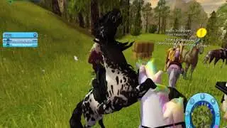Очередная покупочка диких лошадей в Star Stable Online