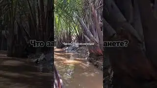 Знаете, что это за месте?