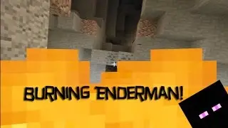 Enderland S2 Ep 2 | Burning Enderman!