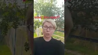 Понять и начать зарабатывать
