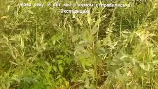 Экспедиция на скрытое озеро