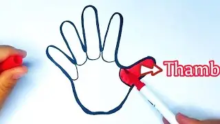 Draw a palm and learn the name of the fingers.