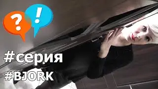 Серия дверей БЬОРК ♦ Берёзовая панель