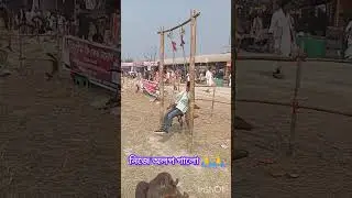 simonta songkordeb songgho Adhibeson aolp nije galu. Assamese video juli Borah vlog JB Assam Assame