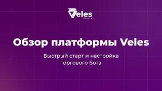 Veles Platform Review