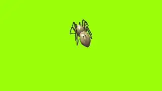 lie shuffle spider green screen 360 degree angel। green screen। green screen। ostad animation