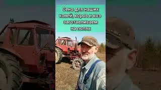 Как заготавливаем сено 🌾 Боронование полей 🚜