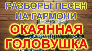 разборы под гармонь! ОКАЯННАЯ ГОЛОВУШКА!