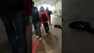 13 ноября 2023 г.(2)