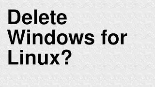 Delete Windows & Install Linux?