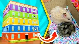 Carton maze for hamsters in a form of 5-story building 🏨 | DIY