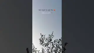 pondattee nee..🤍||#tamilwhatsappstatusvideos||#skies.stories_||#shorts