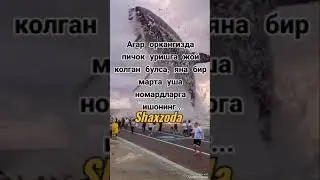 СОДДА БОЛМАНГ
