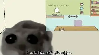 Studying for Exam: Hamster Animation Short Story | #Shorts #Meme #tiktok