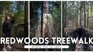 REDWOODS TREEWALK | Rotorua Trip Day 2