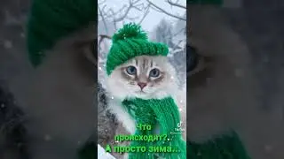 А снег кружится...