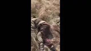 Срочно, уничтожена ДРГ Азербайджана, без Коментарии, подпишитесь.